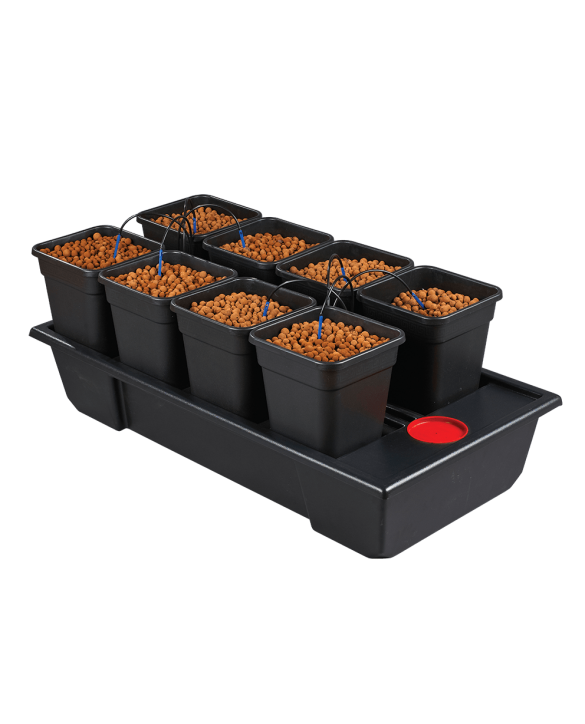 Atami Wilma 8 Wide
