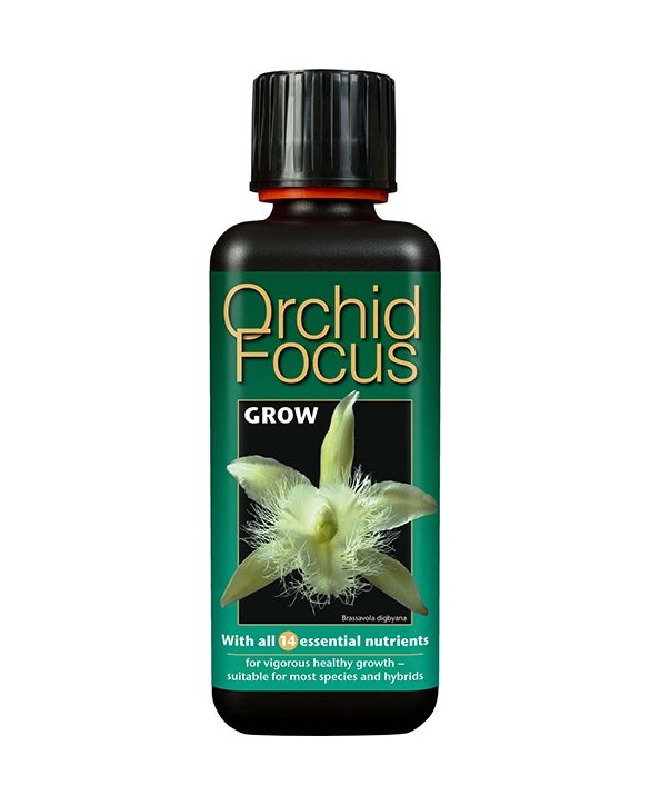 Orchid Focus Grow 300ml Orchid Focus Grow 300ml