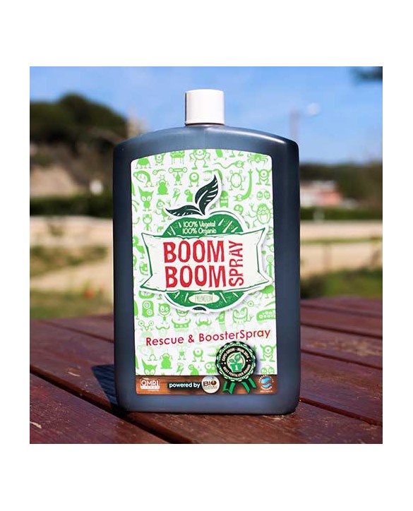 Boom Boom Spray 250ml | BioTabs