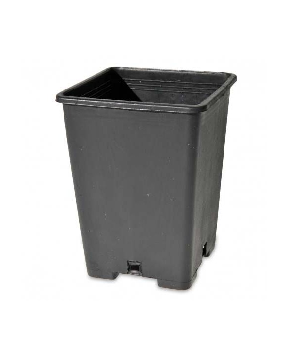 Lonec 13x13x18cm 2,5L