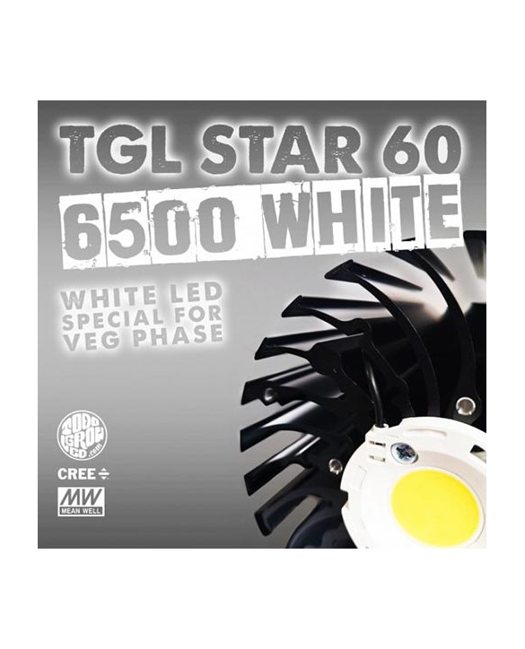 TGL STAR 60 6500°K Cree TGL STAR 60 6500°K Cree
