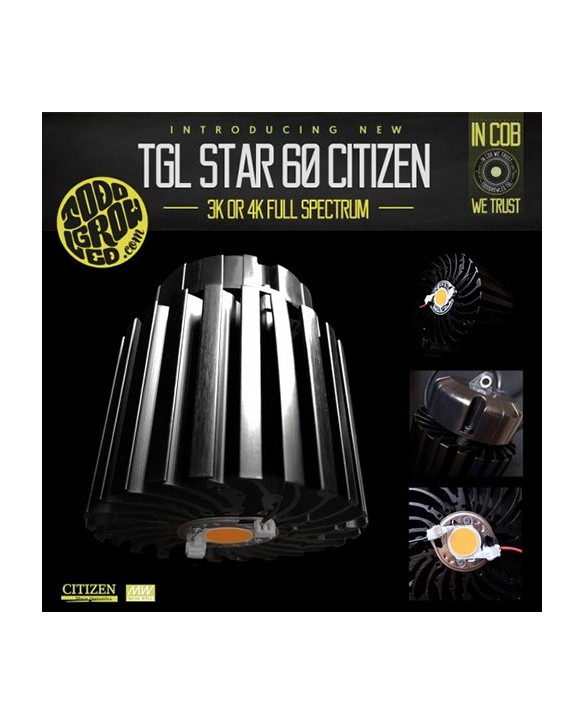 TGL STAR 60 4000°K Citizen TGL STAR 60 4000°K Citizen