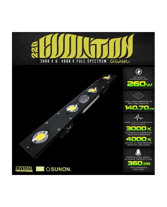 TGL 220 Citizen Evolution 3K TGL 220 Citizen Evolution 3K