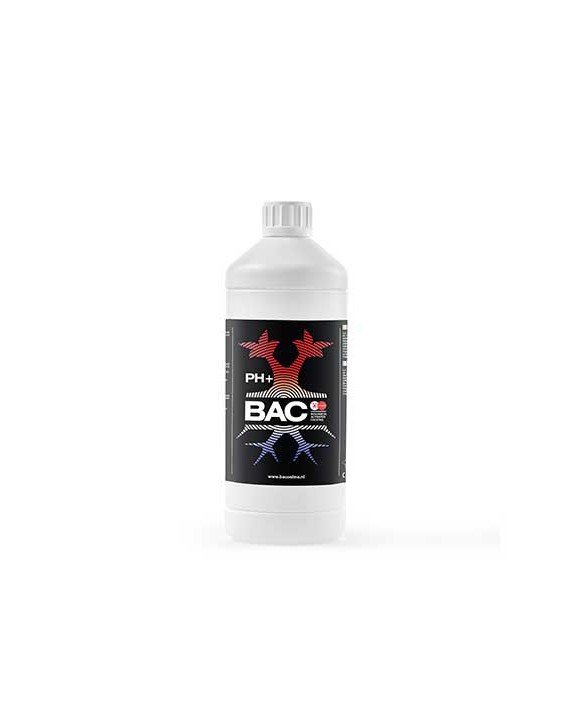 pH+ 1L | BAC