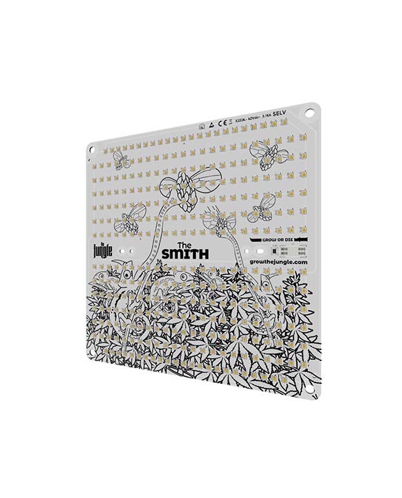 The Smith 150W | The Jungle