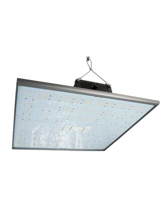 Pure Led Q 240W