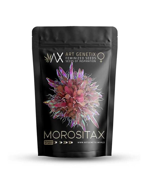Morositax | Art Genetix Morositax | Art Genetix