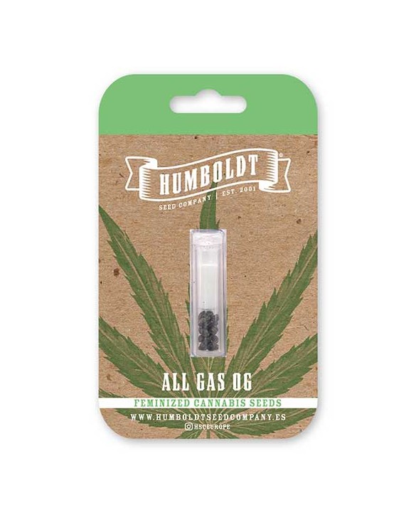 All Gas OG | Humboldt Seed Company