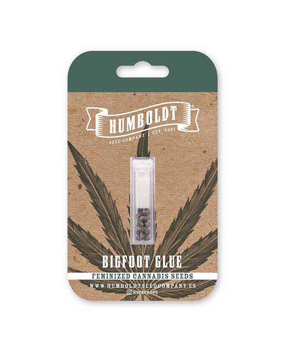 Bigfoot Glue | Humboldt Seed Company Bigfoot Glue | Humboldt Seed Company