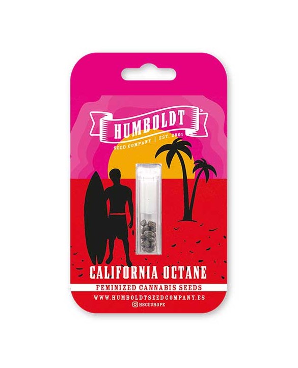 California Octane | Humboldt Seed Company