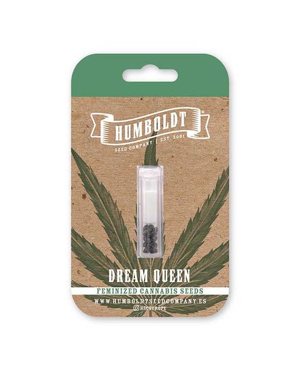 Dream Queen | Humboldt Seed Company