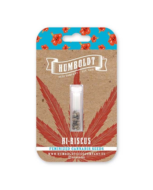 Hi-Biscus | Humboldt Seed Company Hi-Biscus | Humboldt Seed Company
