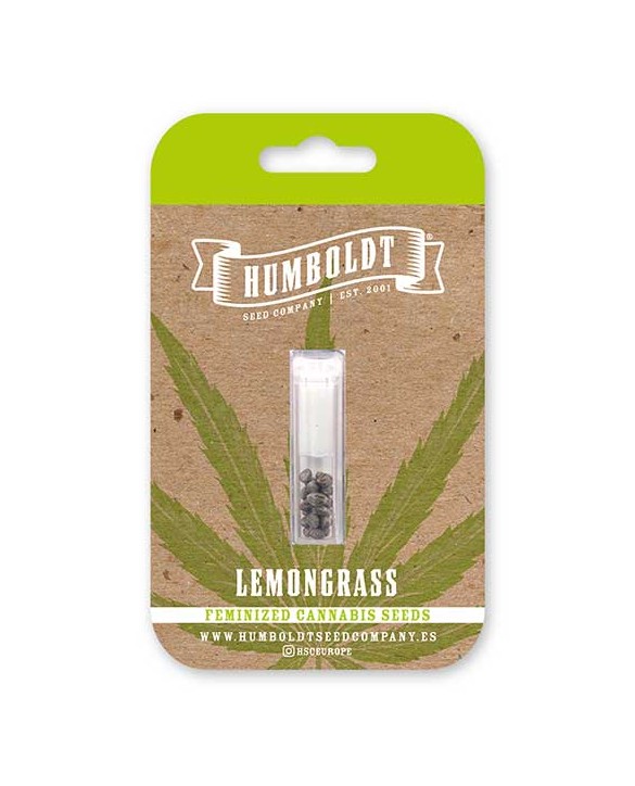 Lemongrass | Humboldt Seed Company Lemongrass | Humboldt Seed Company