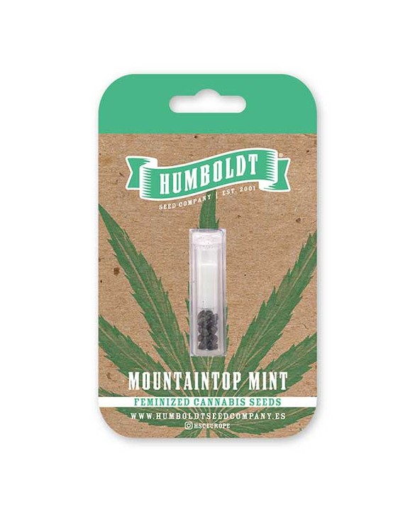 Mountaintop Mint | Humboldt Seed Company