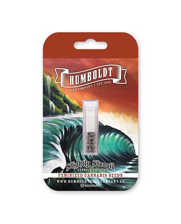 Slightly Stoopid Fruits | Humboldt Seed Company