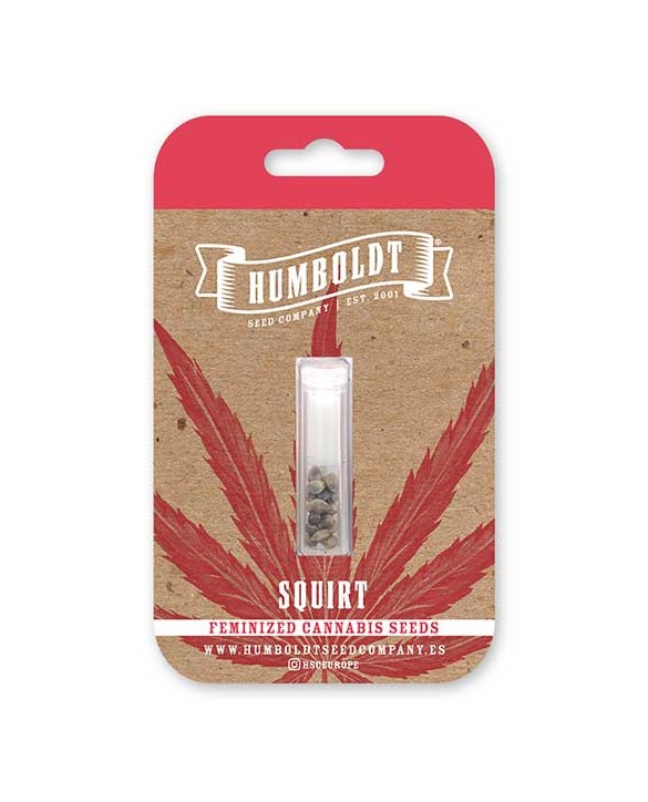 Squirt | Humboldt Seed Company
