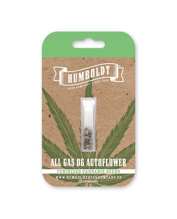 All Gas OG Auto | Humboldt Seed Company