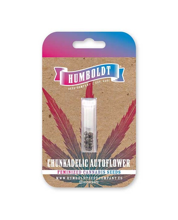 Chunkadelic Auto | Humboldt Seed Company Chunkadelic Auto | Humboldt Seed Company