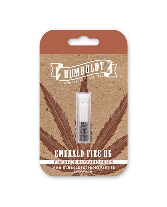 Emerald Fire OG Auto | Humboldt Seed Company