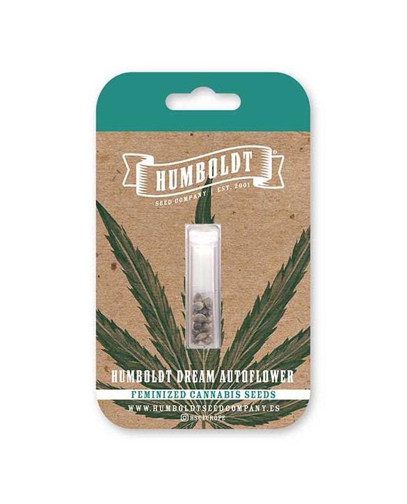 Humboldt Dream Auto | Humboldt Seed Company