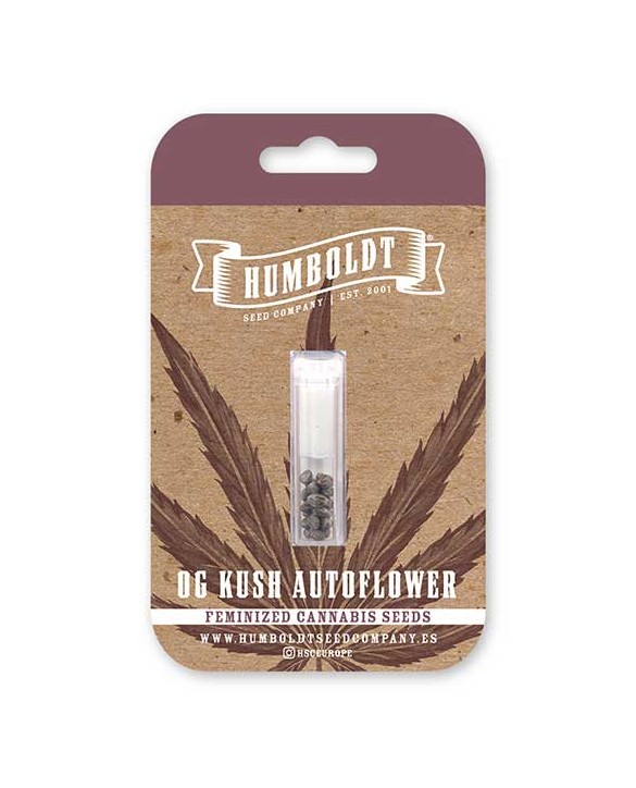 OG Kush Auto | Humboldt Seed Company