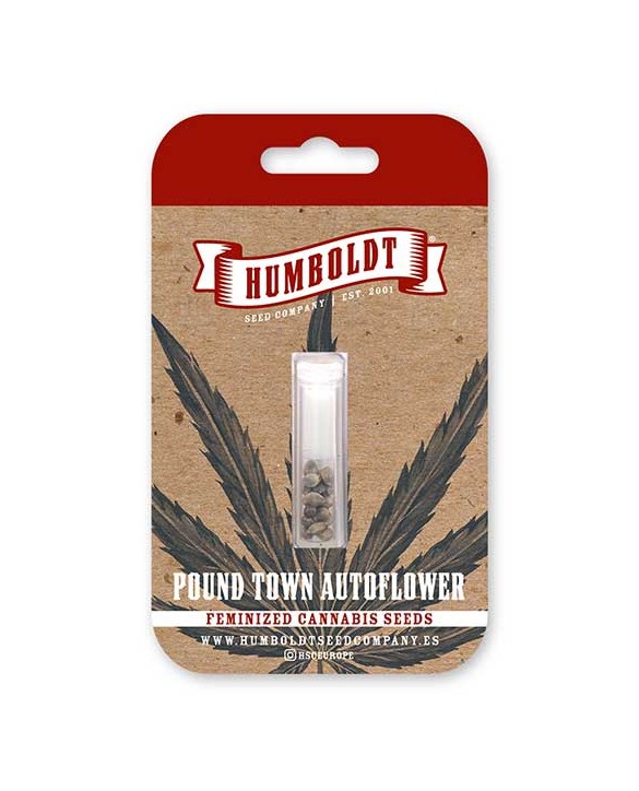 Pound Town Auto | Humboldt Seed Company Pound Town Auto | Humboldt Seed Company