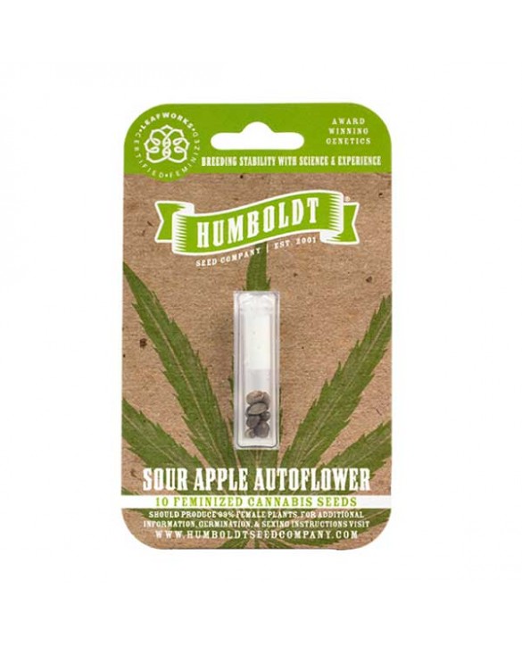 Sour Apple Auto | Humboldt Seed Company