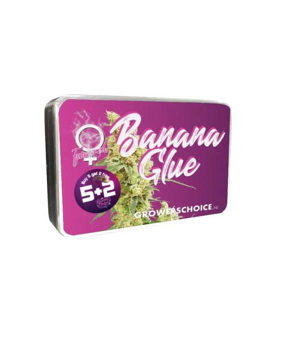 Banana Glue | Growers Choice