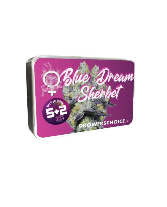 Blue Dream Sherbet | Growers Choice