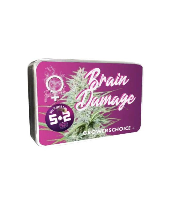 Brain Damage | Growers Choice