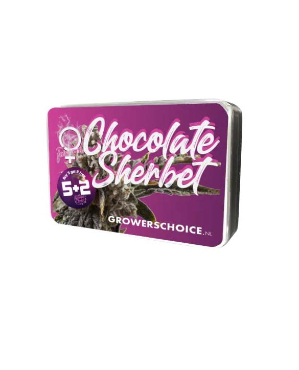 Chocolate Sherbet | Growers Choice