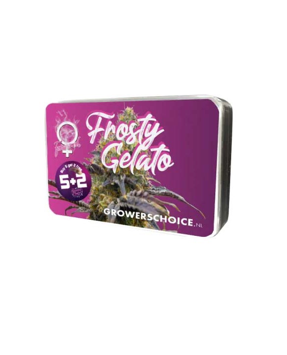 Frosty Gelato | Growers Choice Frosty Gelato | Growers Choice