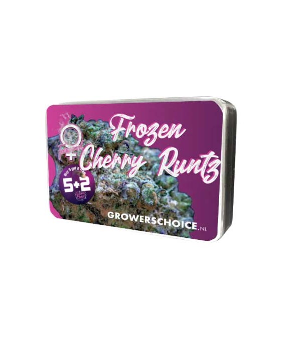 Frozen Cherry Runtz | Growers Choice Frozen Cherry Runtz | Growers Choice