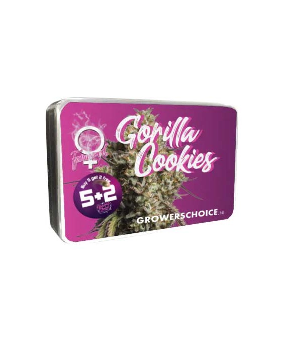 Gorilla Cookies | Growers Choice Gorilla Cookies | Growers Choice