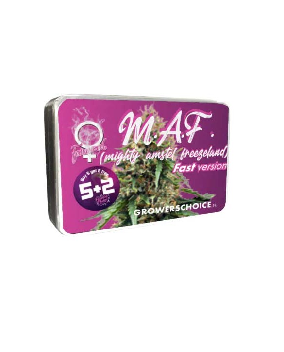 MAF Fast Version | Growers Choice MAF Fast Version | Growers Choice