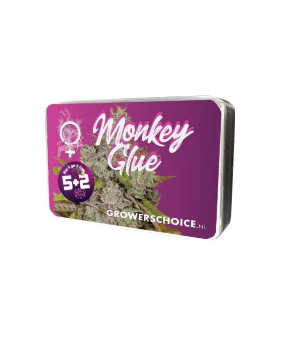 Monkey Glue | Growers Choice Monkey Glue | Growers Choice