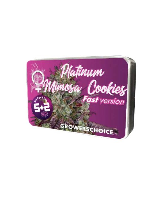 Platinum Mimosa Cookies Fast Version | Growers Choice