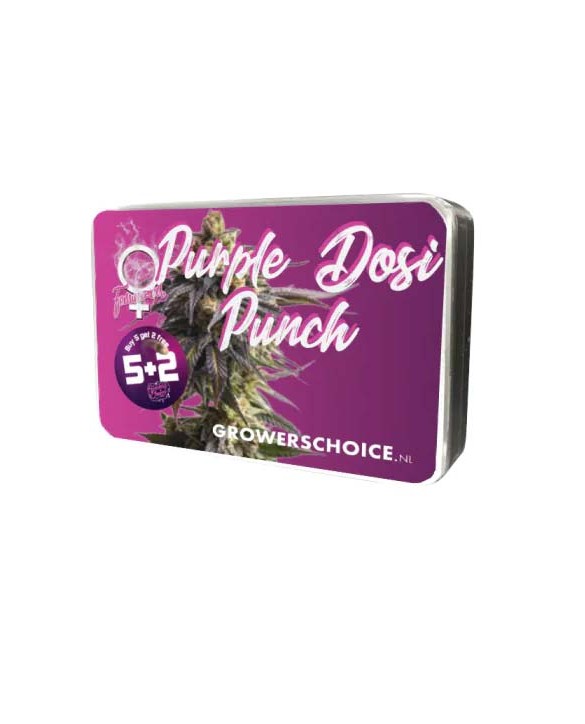 Purple Dosi Punch | Growers Choice Purple Dosi Punch | Growers Choice