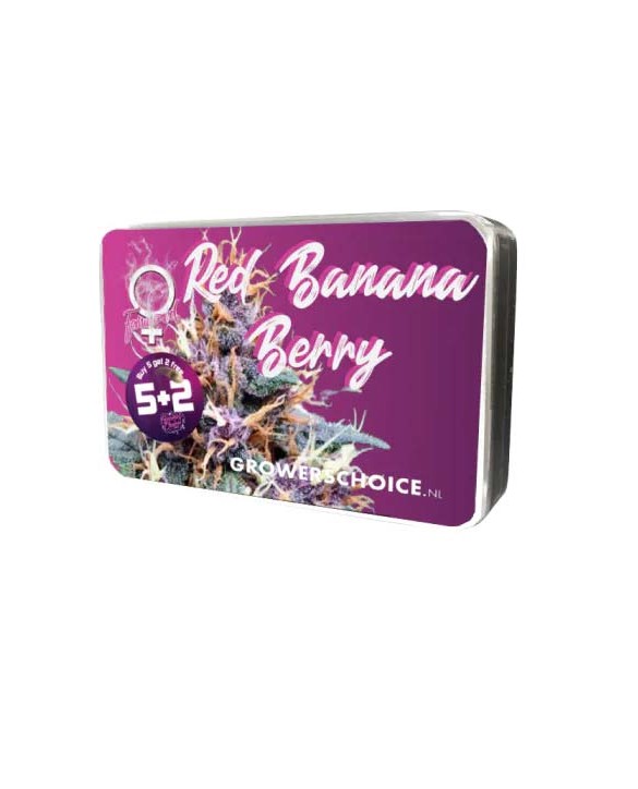 Red Banana Berry | Growers Choice Red Banana Berry | Growers Choice