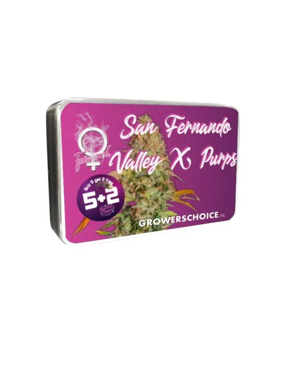 San Fernando Valley x The Purps | Growers Choice San Fernando Valley x The Purps | Growers Choice