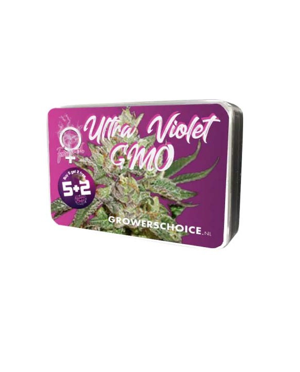 Ultra Violet GMO | Growers Choice