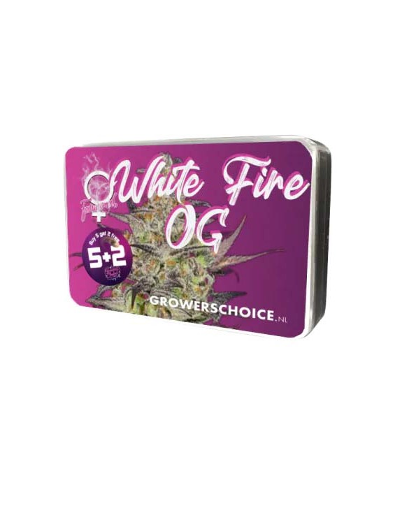White Fire OG | Growers Choice White Fire OG | Growers Choice