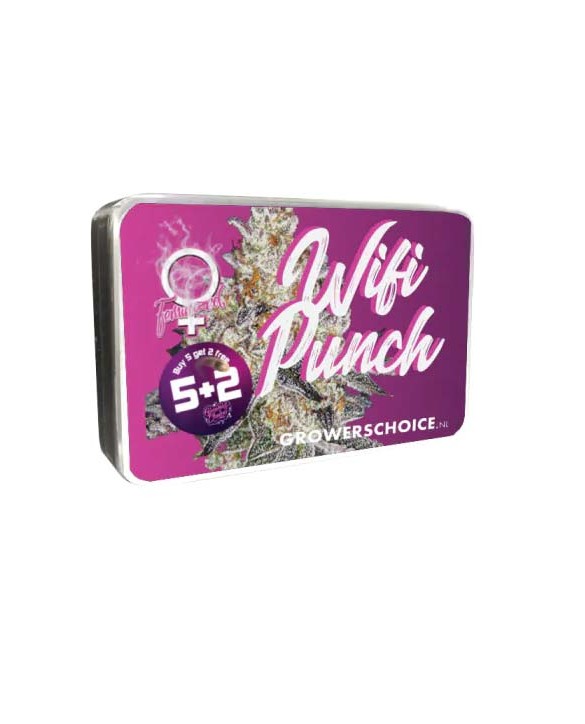 Wifi Punch | Growers Choice Wifi Punch | Growers Choice