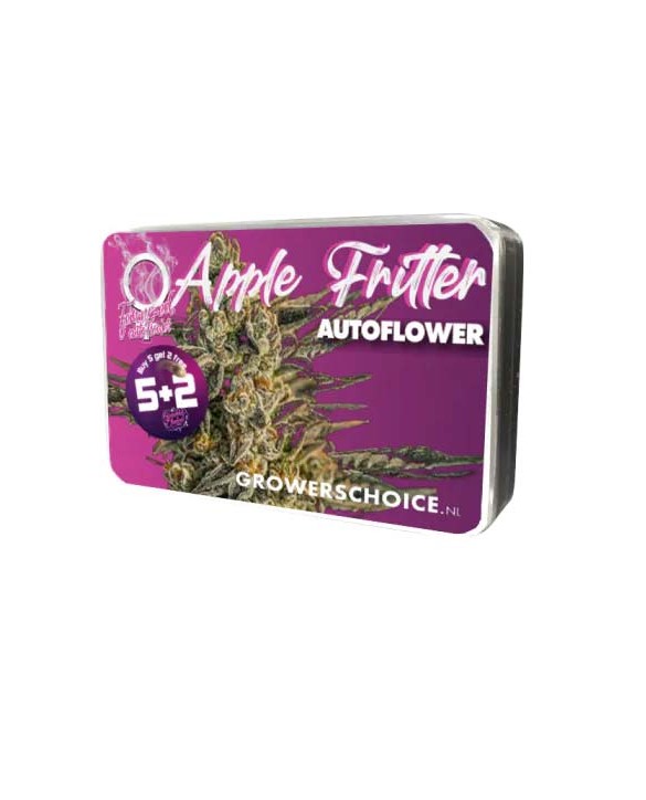 Apple Fritter Autoflower | Growers Choice