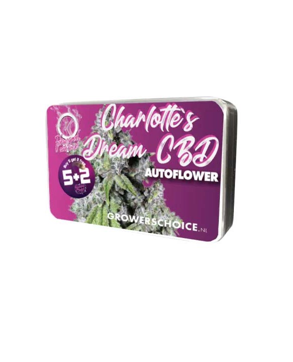 Charlotte's Dream CBD Autoflower | Growers Choice