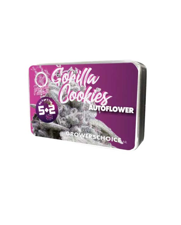 Gorilla Cookies Autoflower | Growers Choice