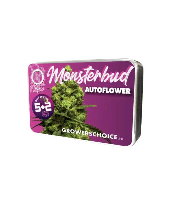 Monsterbud Autoflower | Growers Choice Monsterbud Autoflower | Growers Choice