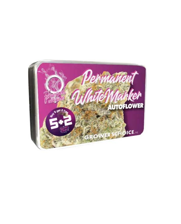 Permanent White Marker Autoflower | Growers Choice
