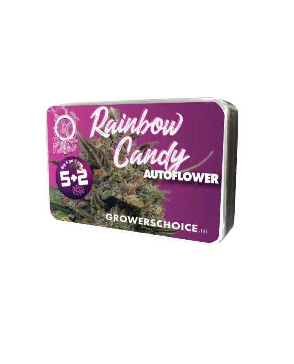 Rainbow Candy Autoflower | Growers Choice Rainbow Candy Autoflower | Growers Choice