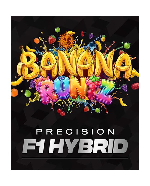 Banana Runtz | Barney’s Farm